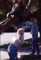 1991 - Kids Playing in a Tree