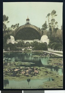 Hand-colored photo of a lily pond in front of the Botanical Building in Balboa Park, San Diego, ca.1900