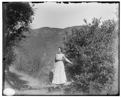 A young woman standing on a large branch between two trees