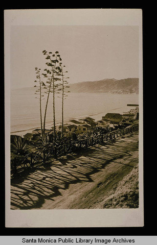 California Incline and Century Plant from Palisades Park, Santa Monica, Calif
