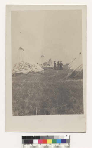 Camp Presidio, 1906. [Refugee women among tents. Postcard.]