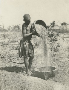 Young girl faning the grain