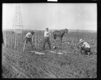 [Men working in field.] [negative]
