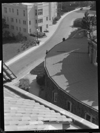 Street to Coit Tower. [San Francisco.] [negative]