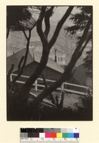 [View of homes through trees, San Francisco. From Telegraph Hill or Russian Hill? Formerly mis-captioned as "Pines, Carmel".] [Photographic print]
