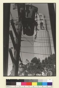Telephone line men near Coit Tower. [San Francisco.] [photographic print]