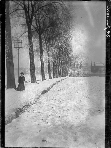 22 [?] Jan. 1911. [Woman by trees, in field.] [negative]