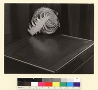 [Cabbage.] [photographic print]