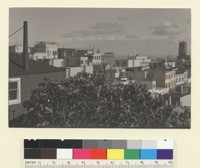 S.F. View. From Hagemeyer studio near Coit Tower. [San Francisco.] [photographic print]