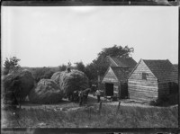 [Wokers and haystacks.] [negative]