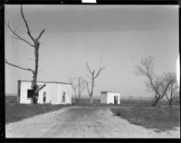 Cabins on Deserted Road. [negative]