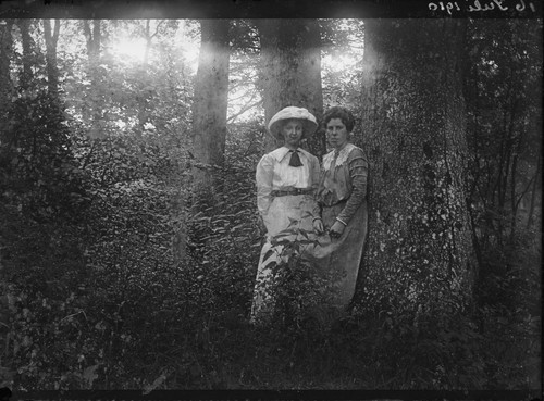 16 Juli 1910. [Two women in forest.] [negative]