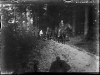 Loelensche bosch. 6 Vet. 10. [Group on outing in countryside. 1910] [negative]