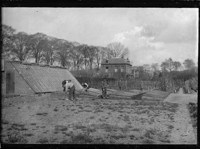 [Men working in field.] [negative]