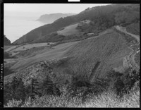 Big Sur [?] Hills. [negative]