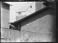 Holland. Factory Building. [negative]
