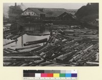 [Lumber mill. Unidentified location.] [photographic print]