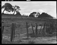 Landscape - Fence, Barn and Trees. [Unidentified location.] [negative]
