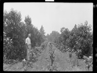 [Man in field.] [negative]