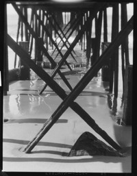 Pier Pilings. [negative]