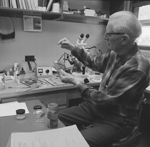 Martin Wiggo Johnson in his office at Scripps Institution of Oceanography. He came to Scripps in the summer of 1934 specializing in the study of zooplankton. In his career he contributed insight and direction to the emergence of biological oceanography as a significant discipline. April 2, 1970