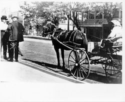 Pomo woman sitting in a horse and buggy on West Street, Cloverdale, Calif