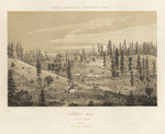 Forrest Hill, Placer County. 1857