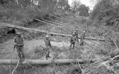 Soldiers stand around tree logs, Guatemala, 1982