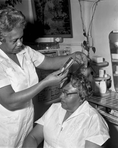 Hair Stylist, Los Angeles, 1962