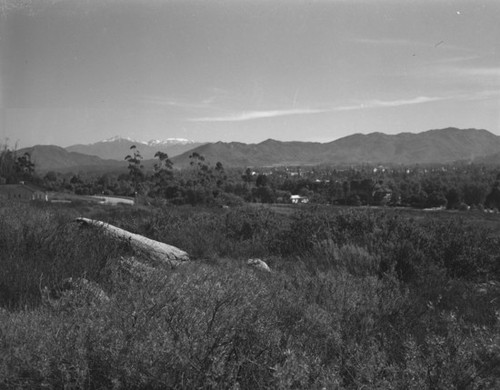 Mount Rubidoux