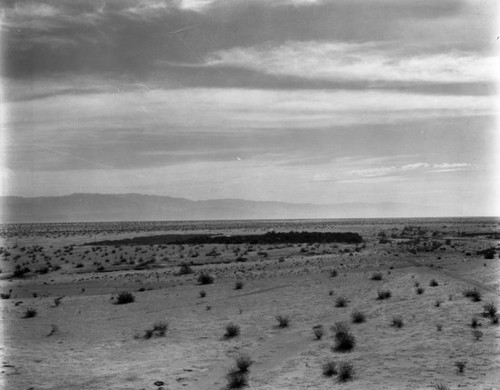 Desert landscape