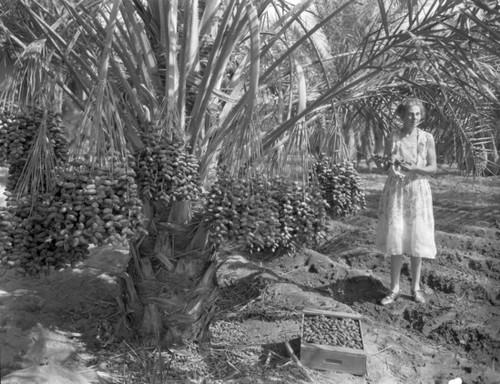 Woman with date palm and dates