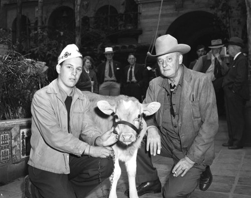 Presentation of bull to young man at 4-H event