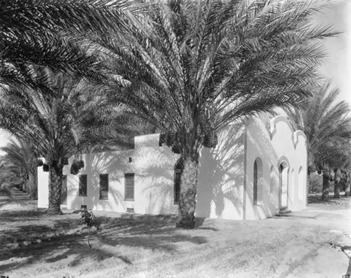 View of date grove and house