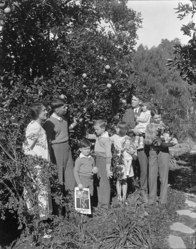 Jameson family picking oranges