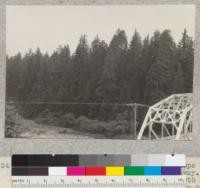 A series of 8 views (#4636-4643) of tops of trees of Dyerville Flat, Redwood Highway. Taken from high bank above road at north end of new bridge over South Fork Eel River near its mouth. E. F. July 17, 1932