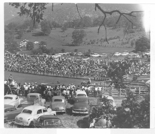 Springville Rodeo in the 1950's