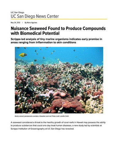 Nuisance Seaweed Found to Produce Compounds with Biomedical Potential