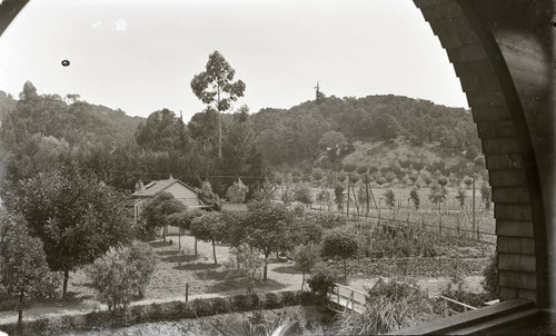 View of the gardens from the porch of the Charles Bach estate in Kentfield, Marin County, California circa 1902 [photograph]