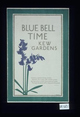 Blue Bell Time, Kew Gardens. (Poem by Jessie Pope)