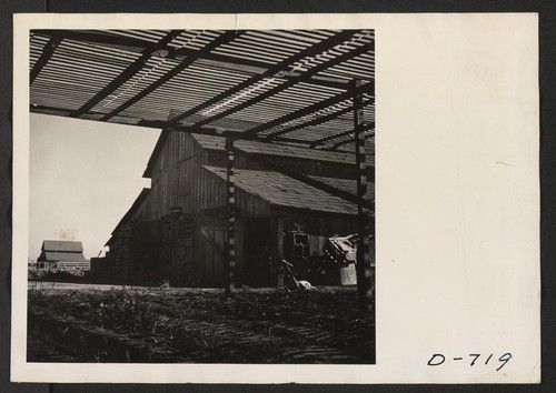 A 10-acre truck crop ranch at Compton, California, formerly farmed by Japanese, now being run by B. G. Moriset. Photographer: Stewart, Francis Compton, California
