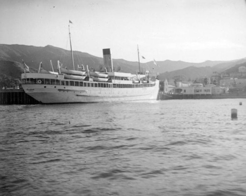 S. S. Avalon docked at Avalon