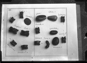 Objects used by an African soothsayer, southern Africa