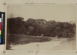 View of river and landscape, Andramasina, Madagascar, ca. 1872