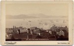 Bay view from Telegraph Hill. 341