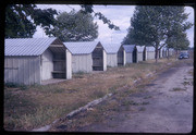 Linnell Camp Cabins, 004