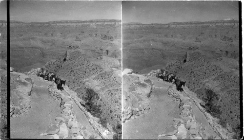 NW on the Yaki Trail. Grand Canyon, Ariz. Have tried my best with films & filters and confidentially I am disappointed with at myself or at photography of today or at both, for surely even the stereographs fails to convey any idea of the beauty, the grandeur, the majesty, the colors of this great wonder of nature's forces. See if you can improve this with some different printing or emulsion or developer, may be possible