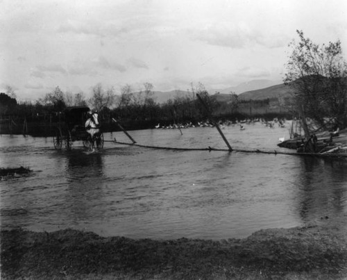 Horse-drawn carriage in flood