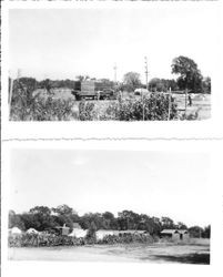 Government campgrounds near the Laguna and Santa Rosa Avenue, about 1940