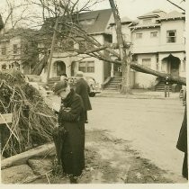 Wind storm damage in 1938